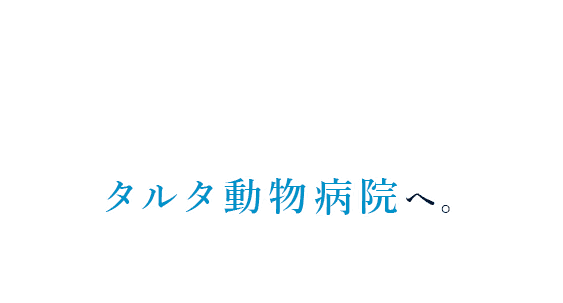 愛する家族の困りごとなら、タルタ動物病院へ。年中無休でお待ちしています