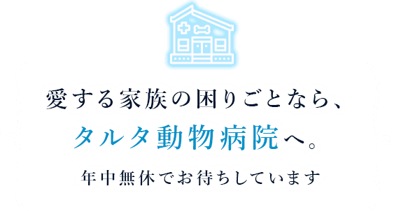 愛する家族の困りごとなら、タルタ動物病院へ。年中無休でお待ちしています